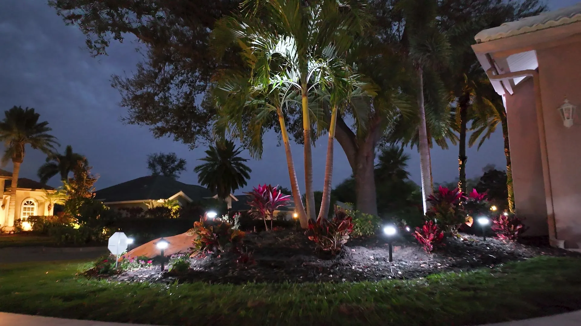 Palms and plantings uplit in warm white